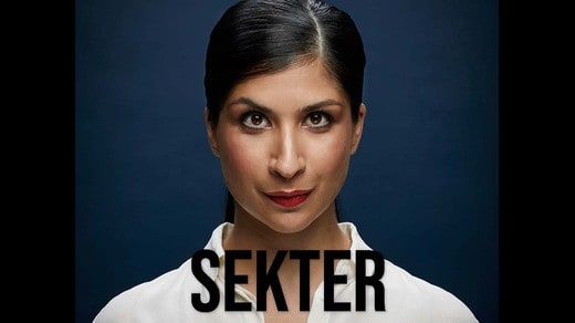 Bild för Sekter